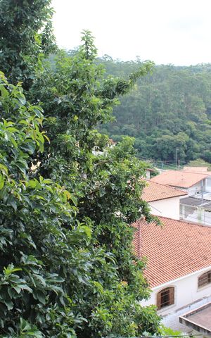 Apartamento para alugar com 65m², 2 quartos e sem vagaVista da Sacada