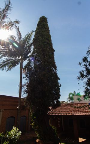 Casa à venda com 100m², 2 quartos e 2 vagas Casa à venda com 100m², 2 quartos e 2 vagasÁrea Externa