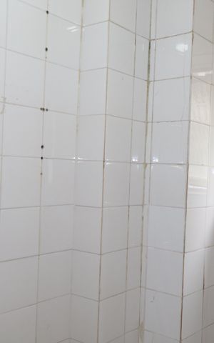 Apartamento para alugar com 80m², 2 quartos e 1 vagaBanheiro de serviço