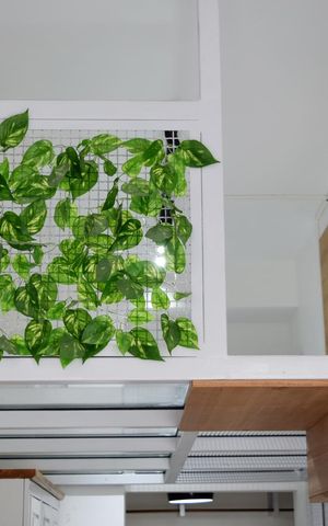 Studio para alugar com 37m², 1 quarto e sem vagaStudio