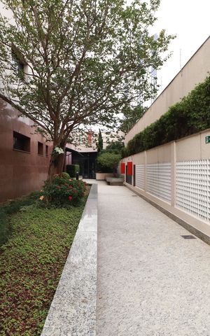 Apartamento à venda com 205m², 3 quartos e 3 vagasÁrea comum