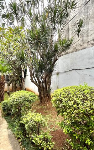 Casa à venda com 200m², 4 quartos e 2 vagas Casa à venda com 200m², 4 quartos e 2 vagasQuintal