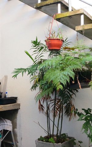 Casa à venda com 115m², 3 quartos e 2 vagasÁrea de serviço