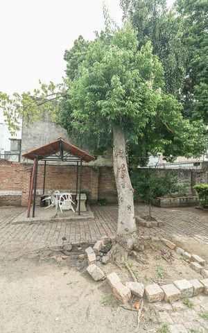 Apartamento à venda com 77m², 2 quartos e sem vagaÁrea comum