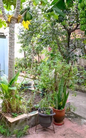 Casa à venda com 211m², 4 quartos e 2 vagas Casa à venda com 211m², 4 quartos e 2 vagasQuintal