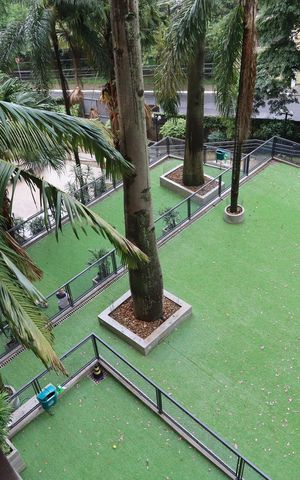 Apartamento à venda com 370m², 5 quartos e 4 vagasEspaço Pet