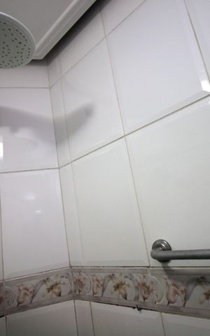 Apartamento à venda com 93m², 3 quartos e 1 vagaBanheiro Social