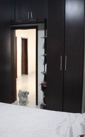 Casa à venda com 315m², 3 quartos e 3 vagasSuíte