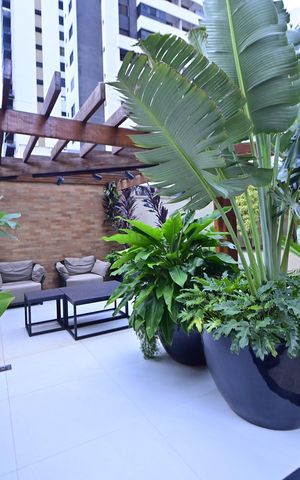 Apartamento à venda com 66m², 2 quartos e 1 vaga Apartamento à venda com 66m², 2 quartos e 1 vagaÁrea comum