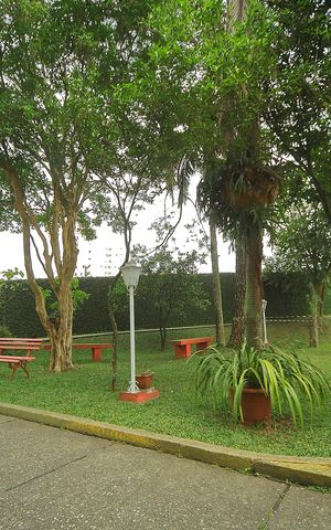 Apartamento para alugar com 128m², 3 quartos e 2 vagasÁrea comum -Área verde 
