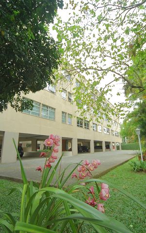 Apartamento para alugar com 128m², 3 quartos e 2 vagasÁrea comum -Área verde 