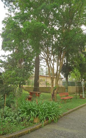 Apartamento para alugar com 128m², 3 quartos e 2 vagasÁrea comum -Área verde 