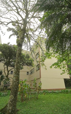 Apartamento para alugar com 128m², 3 quartos e 2 vagasÁrea comum -Área verde 