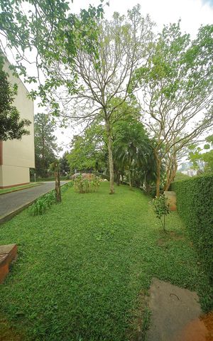 Apartamento para alugar com 128m², 3 quartos e 2 vagasÁrea comum -Área verde 