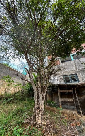 Casa à venda com 101m², 2 quartos e sem vagaQuintal