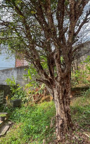 Casa à venda com 101m², 2 quartos e sem vagaQuintal