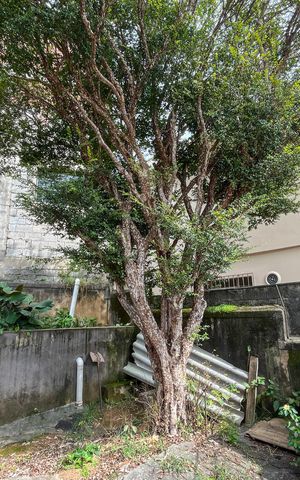 Casa à venda com 101m², 2 quartos e sem vagaQuintal