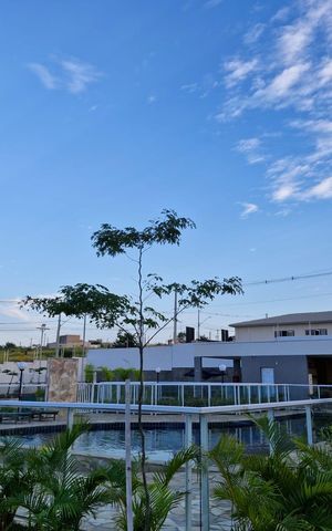 Apartamento para alugar com 55m², 2 quartos e 1 vaga Apartamento para alugar com 55m², 2 quartos e 1 vagaÁrea comum - Piscina