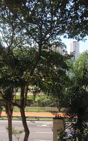 Apartamento à venda com 242m², 5 quartos e 3 vagasSala Sacada Vista