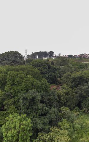 Apartamento para alugar com 40m², 2 quartos e sem vaga Apartamento para alugar com 40m², 2 quartos e sem vagaVista da Sala