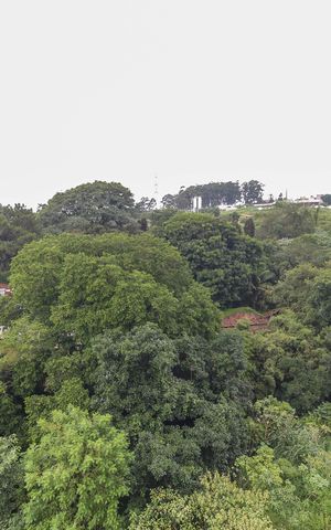Apartamento para alugar com 40m², 2 quartos e sem vaga Apartamento para alugar com 40m², 2 quartos e sem vagaVista do Quarto 2
