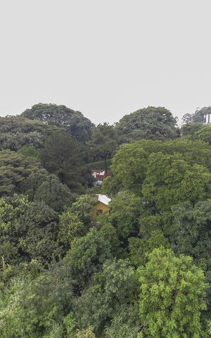 Apartamento para alugar com 40m², 2 quartos e sem vaga Apartamento para alugar com 40m², 2 quartos e sem vagaVista da Área de Serviço