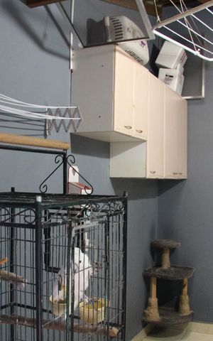 Casa à venda com 175m², 3 quartos e 4 vagasÁrea de Serviço