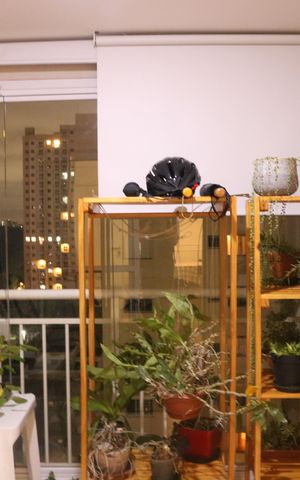 Apartamento à venda com 66m², 2 quartos e 1 vagaVaranda