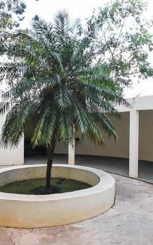 Apartamento à venda com 48m², 2 quartos e 1 vaga Apartamento à venda com 48m², 2 quartos e 1 vagaChurrasqueira