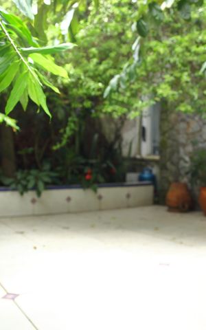 Casa à venda com 650m², 4 quartos e 6 vagasÁrea comum