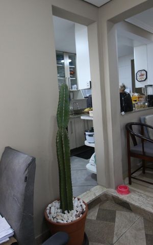 Apartamento à venda com 60m², 2 quartos e sem vagaSala