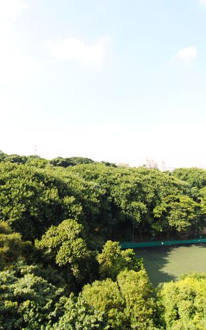 Apartamento à venda com 110m², 3 quartos e 2 vagasVista da Varanda da Sala