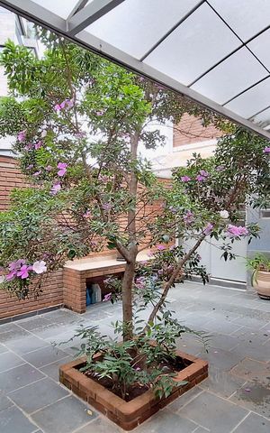Casa à venda com 328m², 4 quartos e 6 vagas Casa à venda com 328m², 4 quartos e 6 vagasQuintal