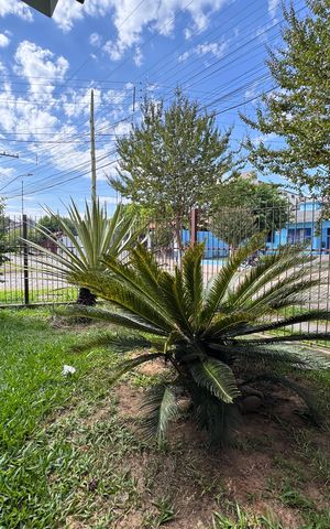 Casa à venda com 200m², 3 quartos e 3 vagas Casa à venda com 200m², 3 quartos e 3 vagasQuintal