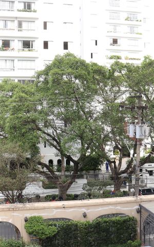 Apartamento para alugar com 80m², 2 quartos e 1 vagaVista do Quarto 2