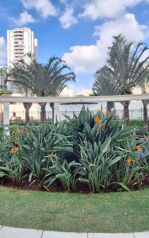 Apartamento à venda com 189m², 3 quartos e 2 vagas Apartamento à venda com 189m², 3 quartos e 2 vagasÁrea comum