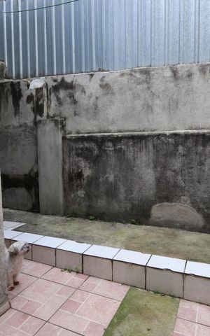 Casa à venda com 200m², 3 quartos e 2 vagasQuintal