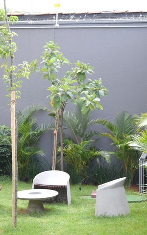 Studio para alugar com 34m², 1 quarto e sem vagaÁrea comum