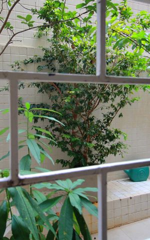 Apartamento à venda com 300m², 4 quartos e 2 vagasVista do Quarto 2
