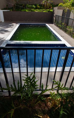 Apartamento à venda com 45m², 2 quartos e 1 vaga Apartamento à venda com 45m², 2 quartos e 1 vagaÁrea comum
