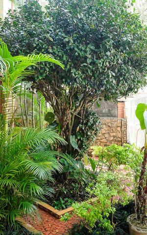 Casa à venda com 250m², 6 quartos e 2 vagasGaragem e quintal