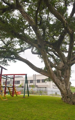 Apartamento à venda com 58m², 2 quartos e 1 vagaÁrea comum - Playground