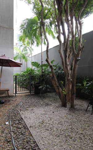 Studio para alugar com 31m², 1 quarto e sem vagaÁrea Comum - Pet Place