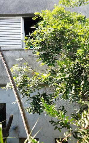 Casa à venda com 516m², 6 quartos e 9 vagasVista