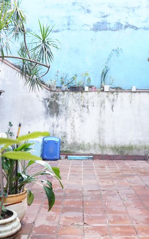 Casa à venda com 516m², 6 quartos e 9 vagasQuintal