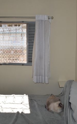 Casa à venda com 220m², 2 quartos e 2 vagasQuarto 1