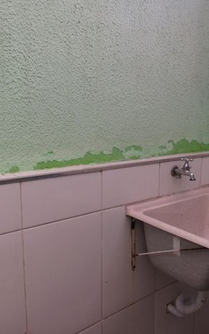 Casa para alugar com 30m², 1 quarto e sem vagaLavanderia