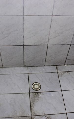 Casa à venda com 230m², 4 quartos e 6 vagasBanheiro da 4ª Suíte