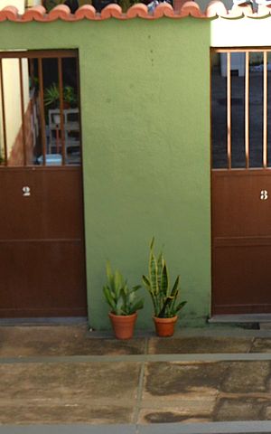 Casa à venda com 580m², 2 quartos e 4 vagasÁrea externa