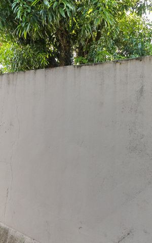Casa à venda com 858m², 4 quartos e 4 vagasVista do Quarto 2